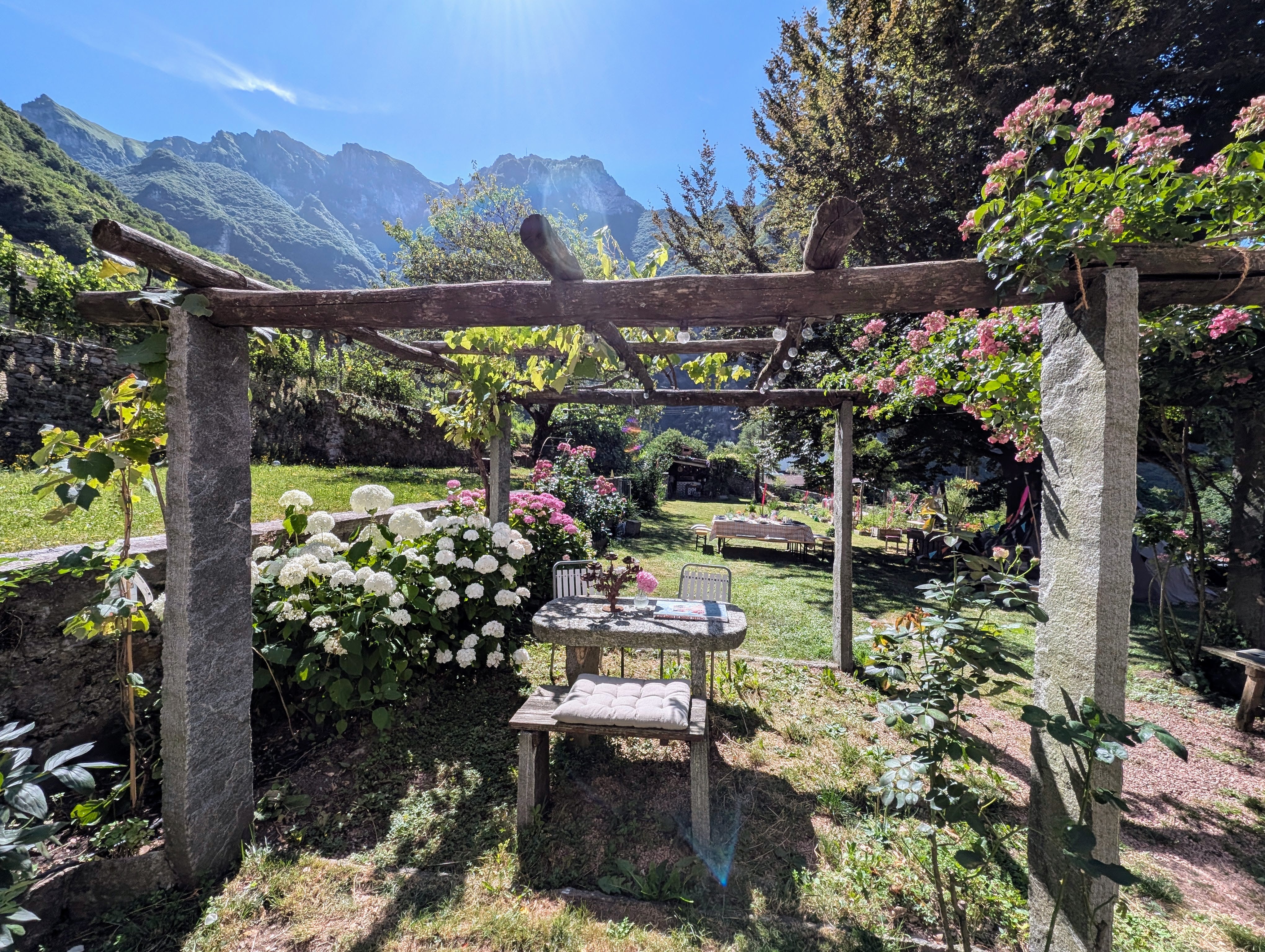 Il pergolato del giardino di CasaGalleria.ART con ortensie, rose e vite, affacciato sul Monte Generoso, Rovio, Val Mara, Svizzera italiana.
