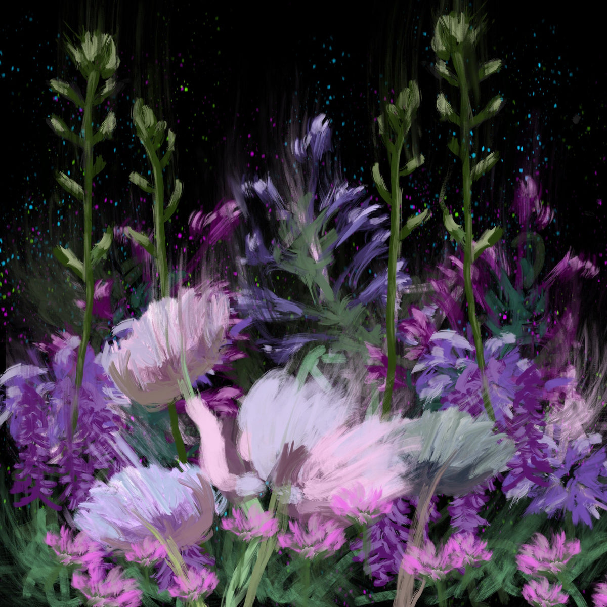 October 14, 2025 — Yuri Catania