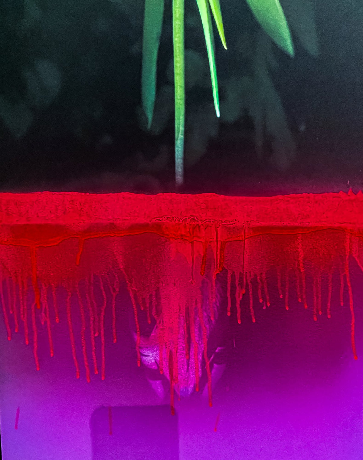 Upside Down Flowers, 2022 — Yuri Catania