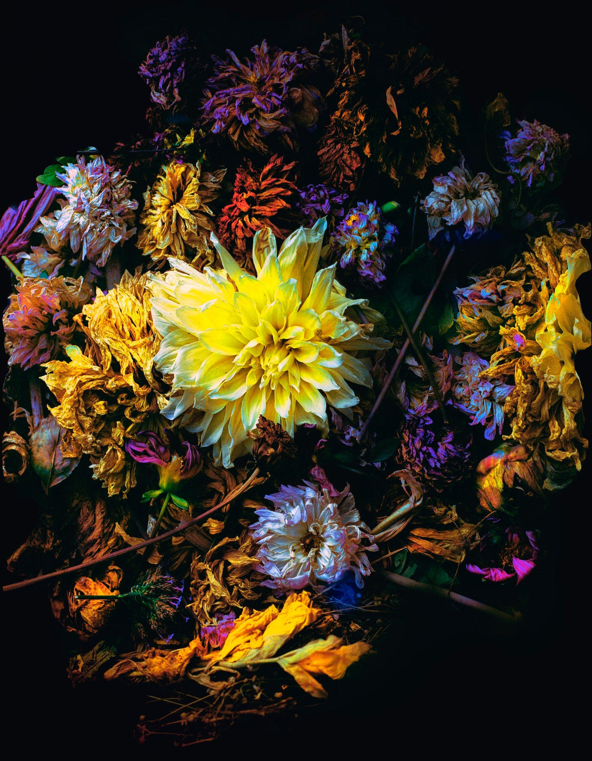 Death in Colors III, 2020 — Yuri Catania