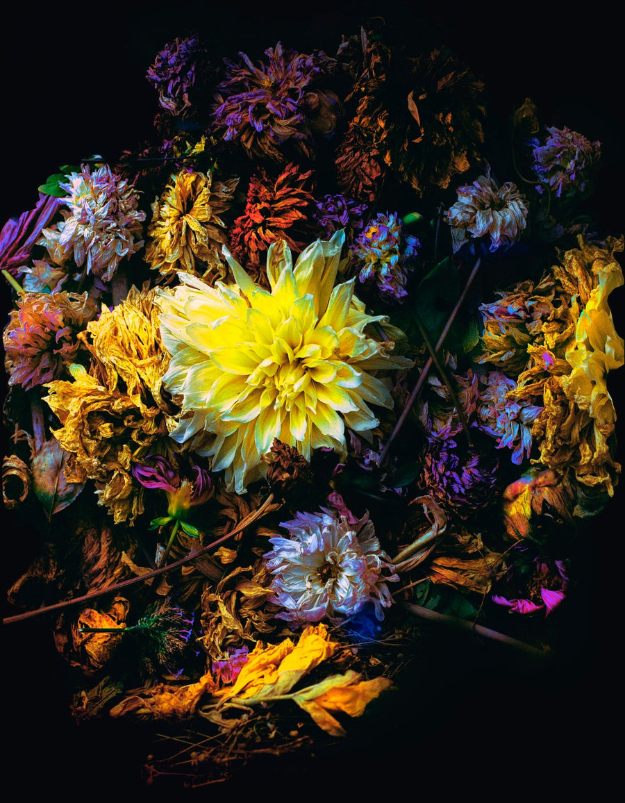 Death in Colors III, 2020 — Yuri Catania
