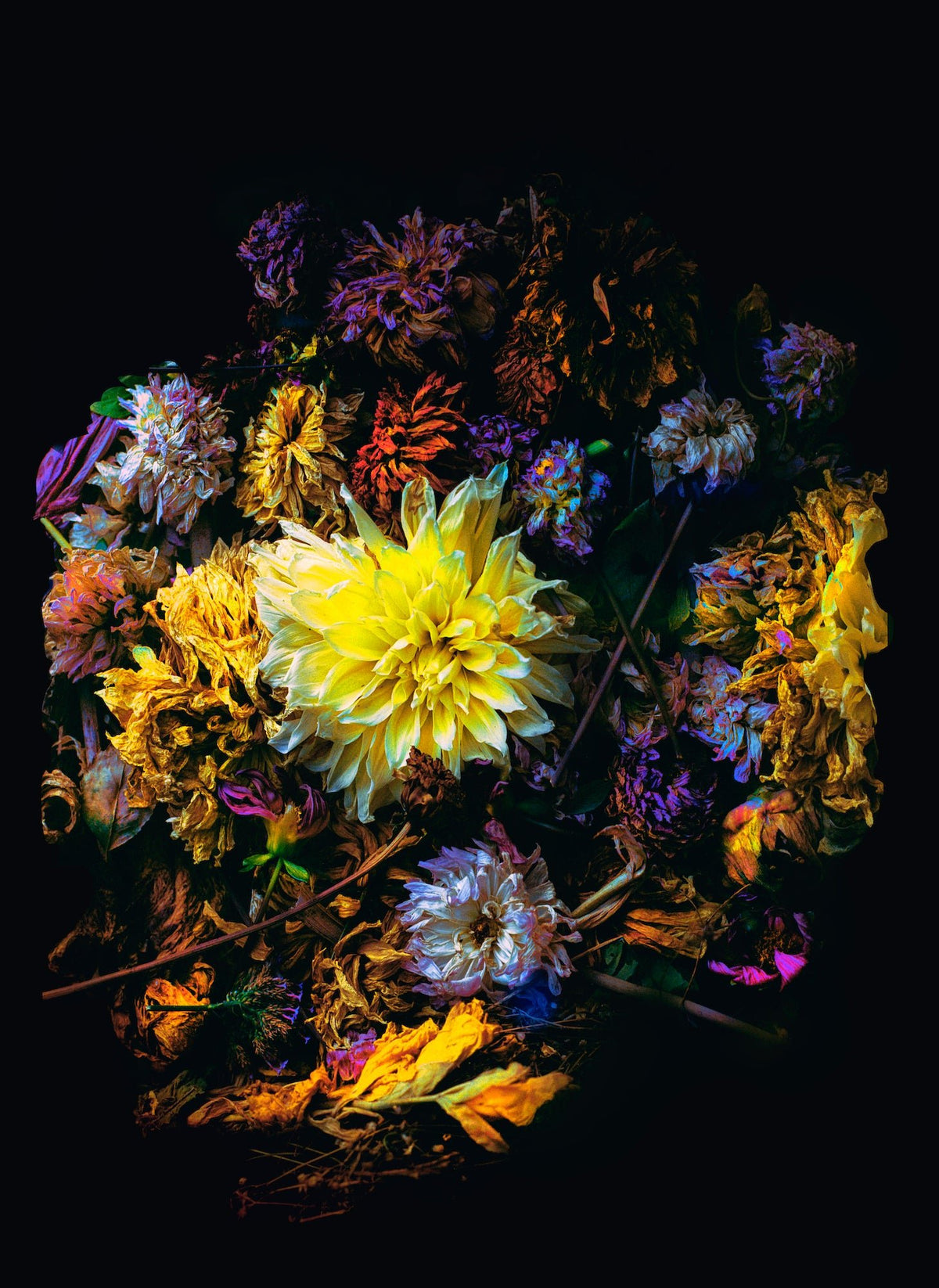 Death in Colors II, 2020 — Yuri Catania