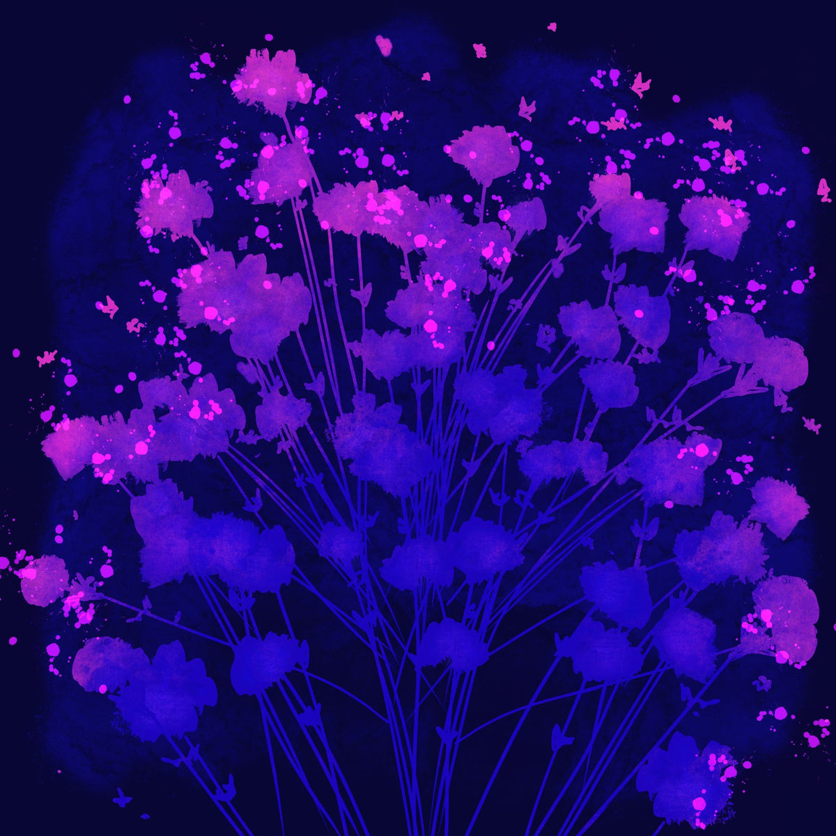 July 05, 2026 — Yuri Catania