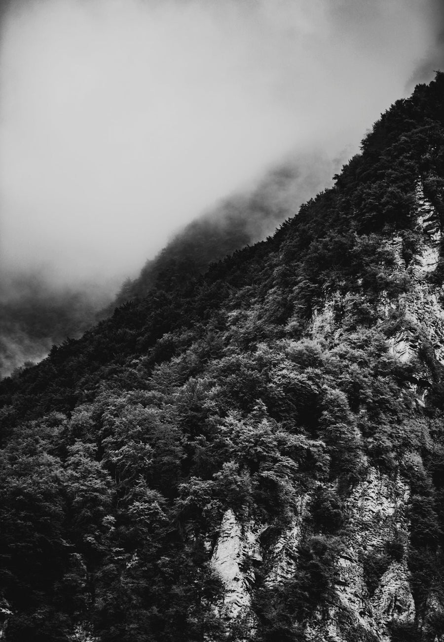 Vertical Wild, 2018 — Yuri Catania