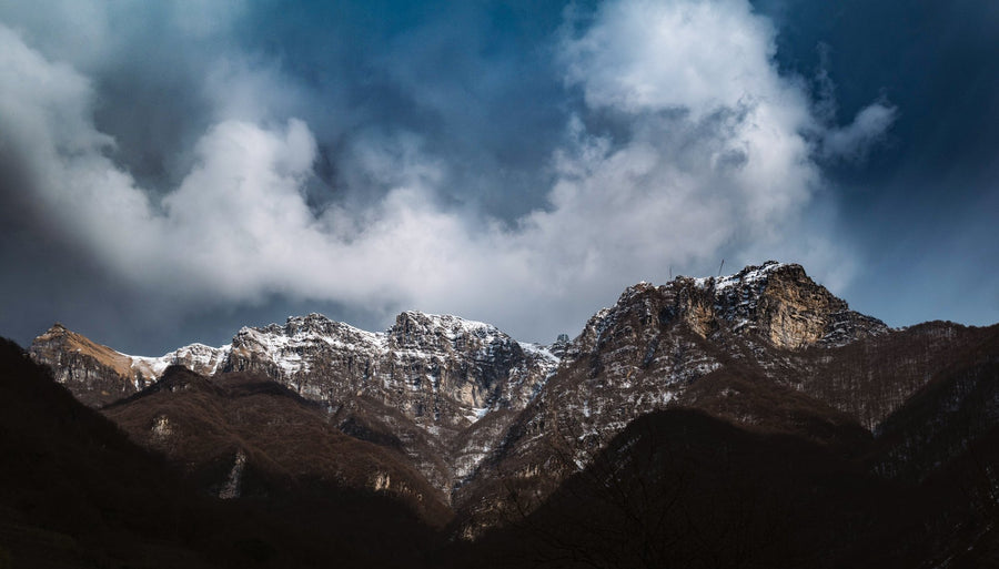 Winter Light, 2021 — Yuri Catania