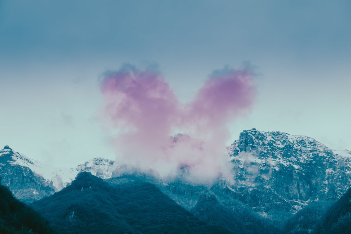 Pink Heart, 2021 — Yuri Catania