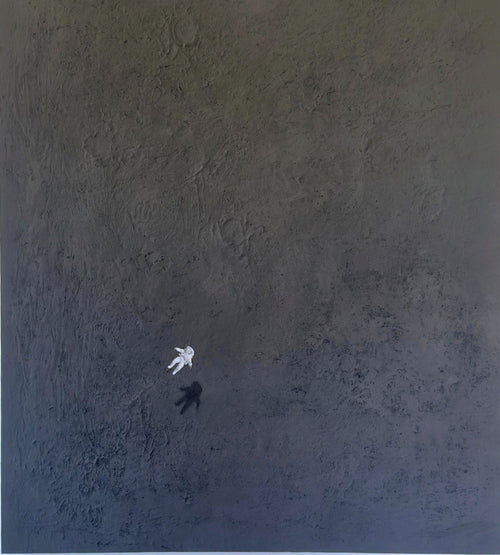 Fly Me to The Moon P425C Quiet Shade, 2025 — Yuri Catania